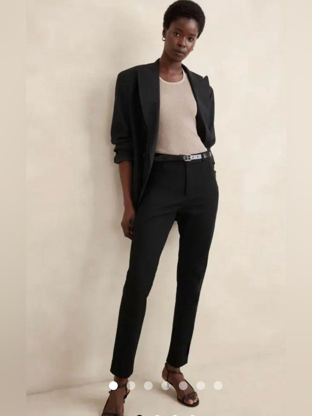 NWT Banana Republic Straight Fit Sloan Tailored Dress Pants Sz 6